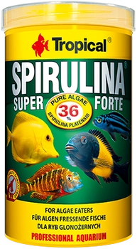 Tropical Super Spirulina Forte 250ml