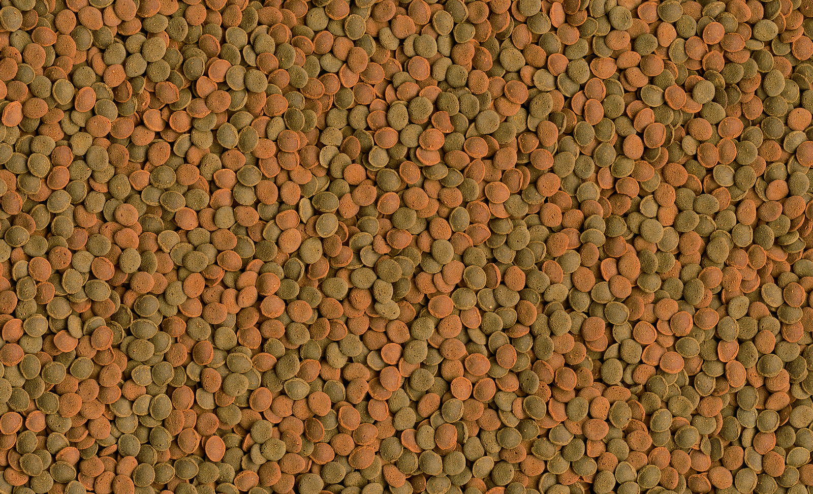 Tetra Wafer Mix 100ml