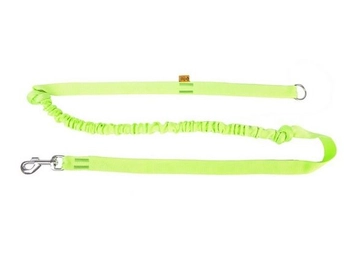 Dingo Smycz Z Amortyzatorem I Uchwytem Zielona 170cm