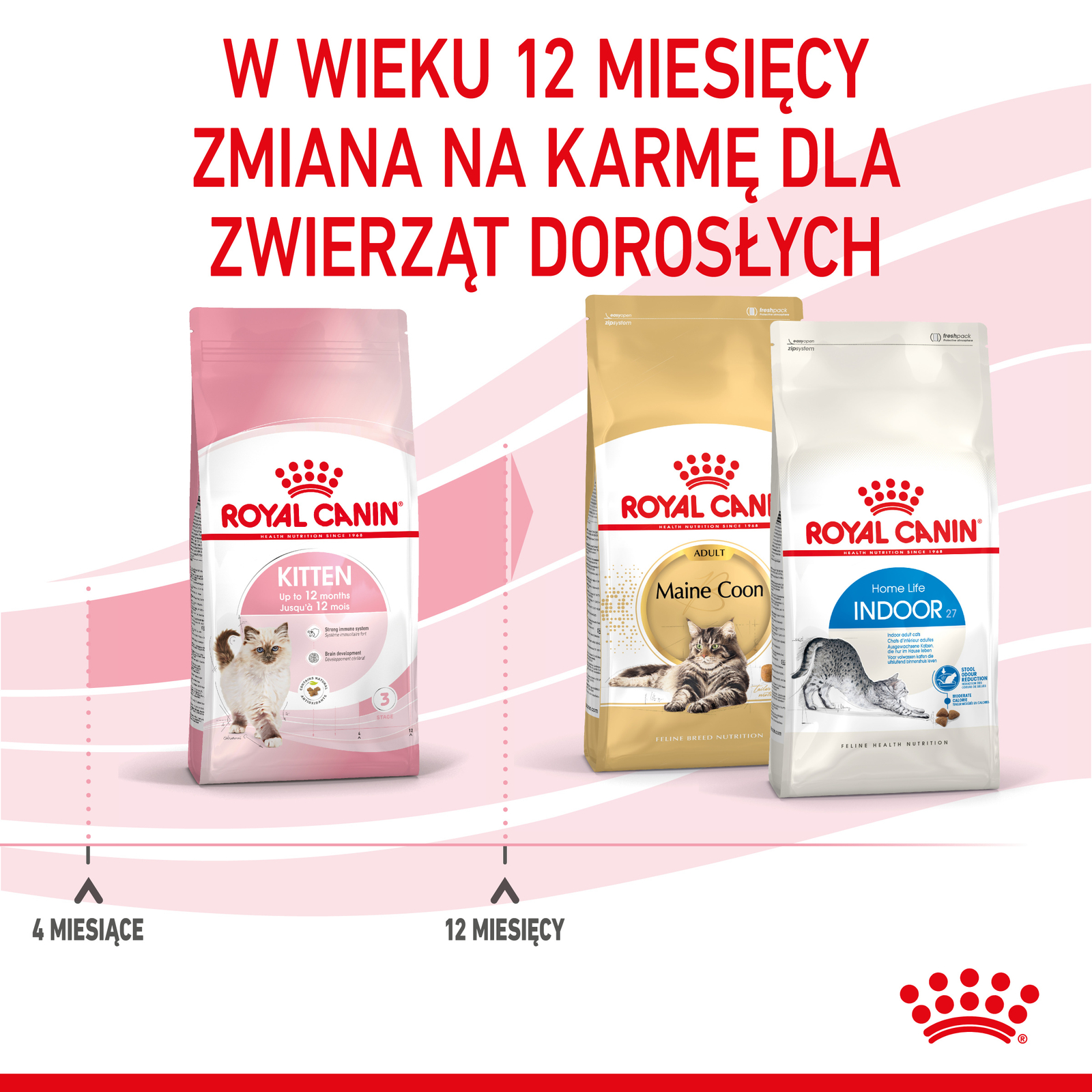 ROYAL CANIN  Kitten 2kg