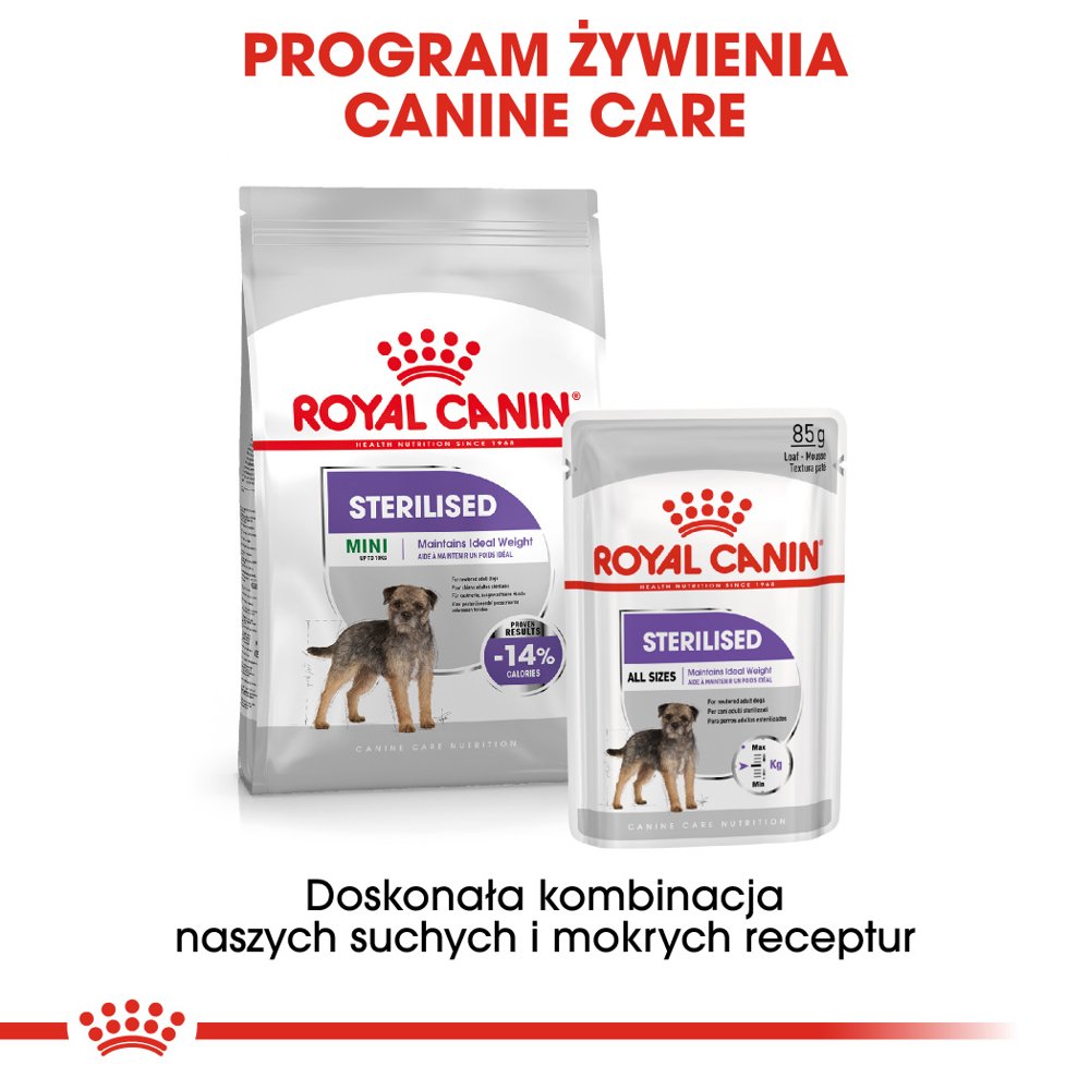 ROYAL CANIN CCN Sterilised Mini Pasztet 12x85g