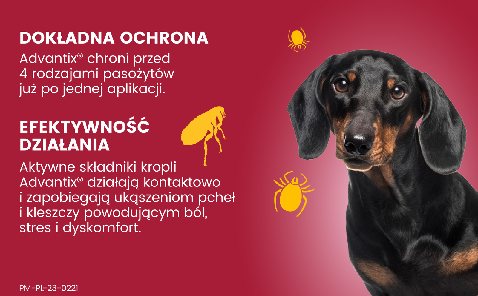 Bayer Advantix Krople Na Kleszcze I Pchły 1ml