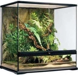 Exoterra Terrarium Szklane Medium 60x45x50cm