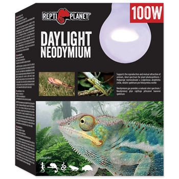 REPTI PLANET Żarówka Daylight Neodymium 100W