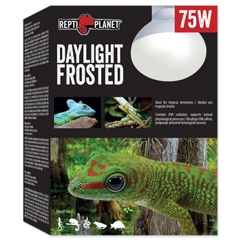 REPTI PLANET Żarówka Daylight Frosted 75W