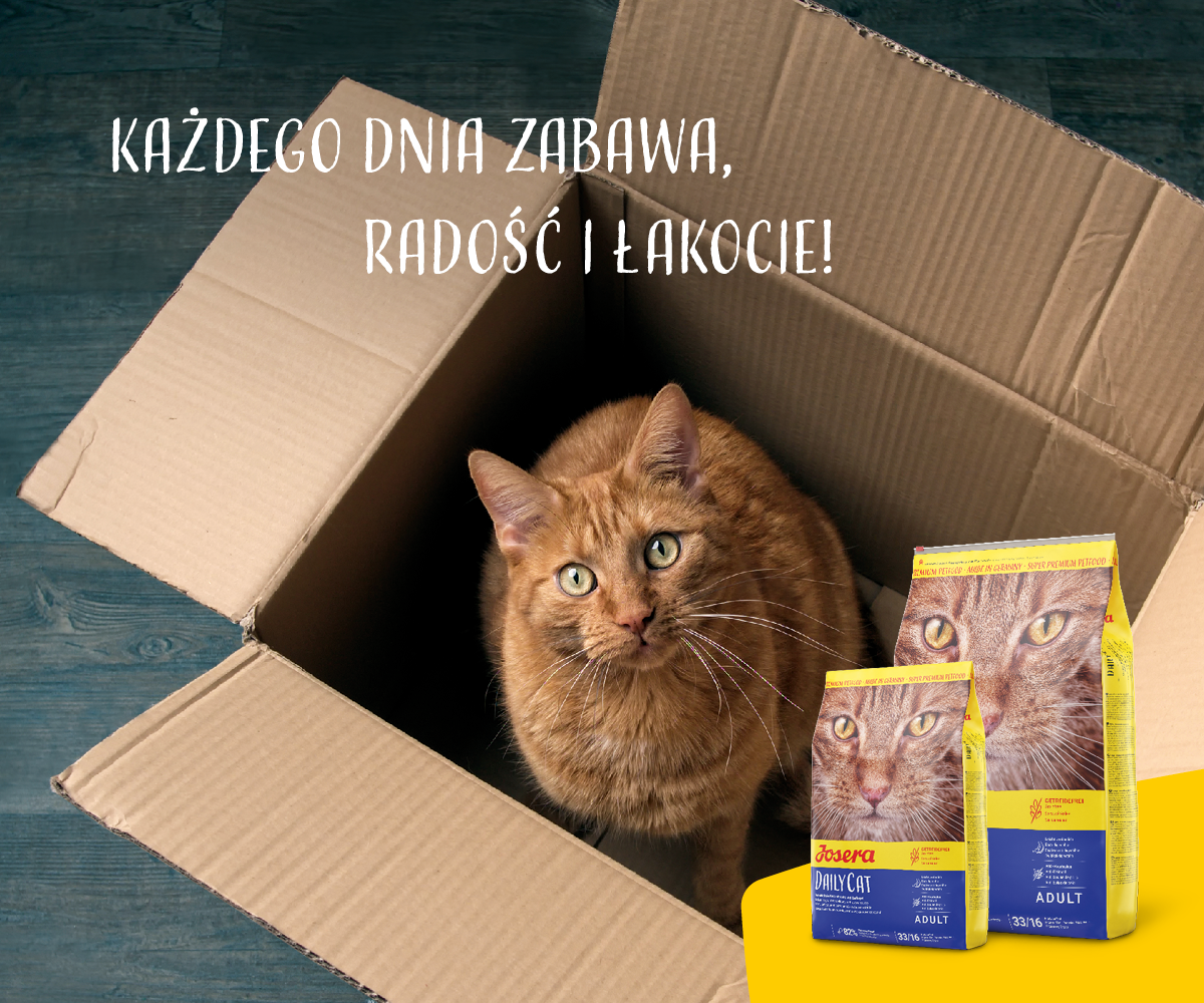 Josera Daily Cat 2kg