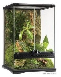 Exoterra Terrarium Szklane Mini 30x30x45cm