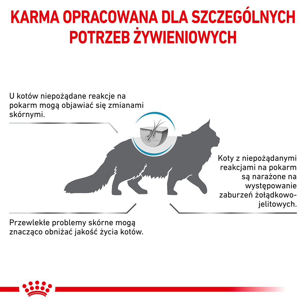 ROYAL CANIN Anallergenic Cat 2kg