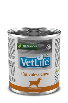 Farmina Vet Life Canine Convalescence 300g