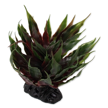 REPTI PLANET Agawa Sukulent Zielony 18cm