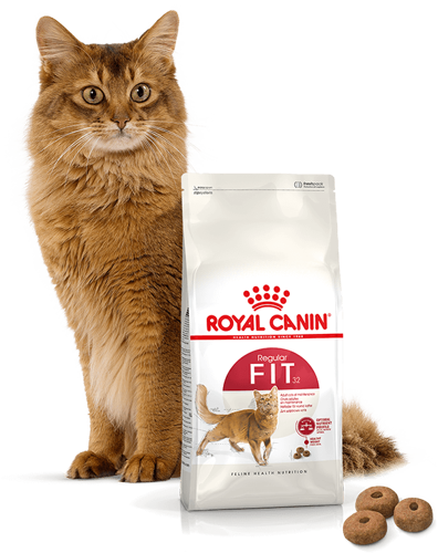 ROYAL CANIN Fit 32 10kg