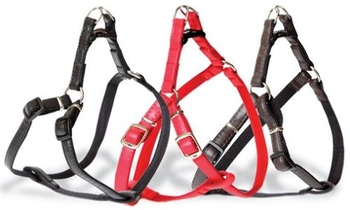 Dingo Szelki Basic Typu Step-In Z Taśmy Dla Psa Czerwone Rozmiar 50