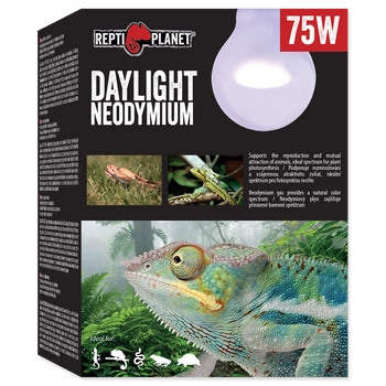 REPTI PLANET Żarówka Daylight Neodymium 75W