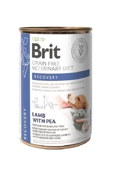 Brit GF Veterinary Diets Recovery 400g