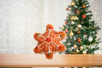 Barry King Zabawka Dla Kota W Kształcie Śnieżynki