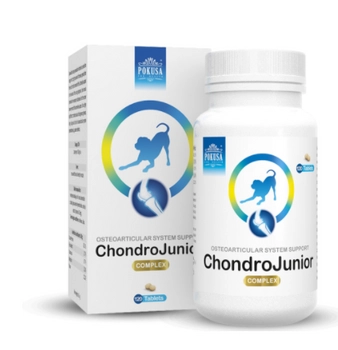 POKUSA ChondroLine ChondroJunior 120 tab.