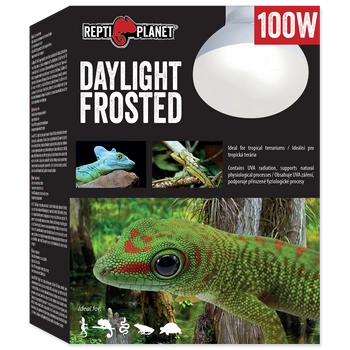 REPTI PLANET Żarówka Daylight Frosted 100W
