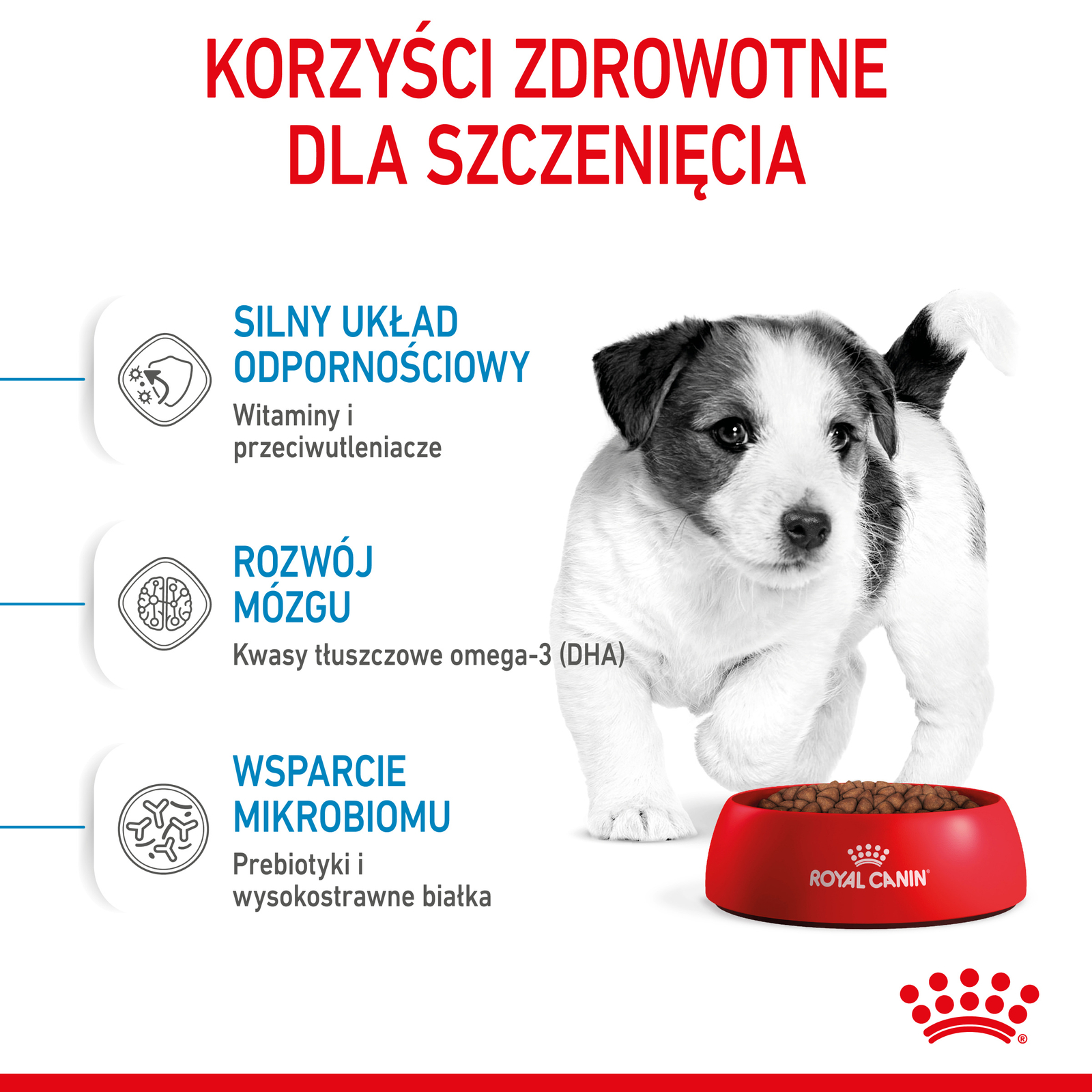 ROYAL CANIN Mini Puppy 2kg
