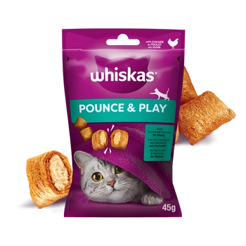 Whiskas Energia I Witalność Przysmak Dla Kota Z Kurczakiem 45g