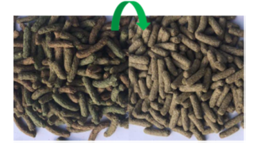 Versele-Laga Cuni Sensitive Complete - Pokarm Dla Królików 1,75kg