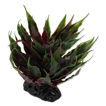 REPTI PLANET Agawa Sukulent Zielony 18cm