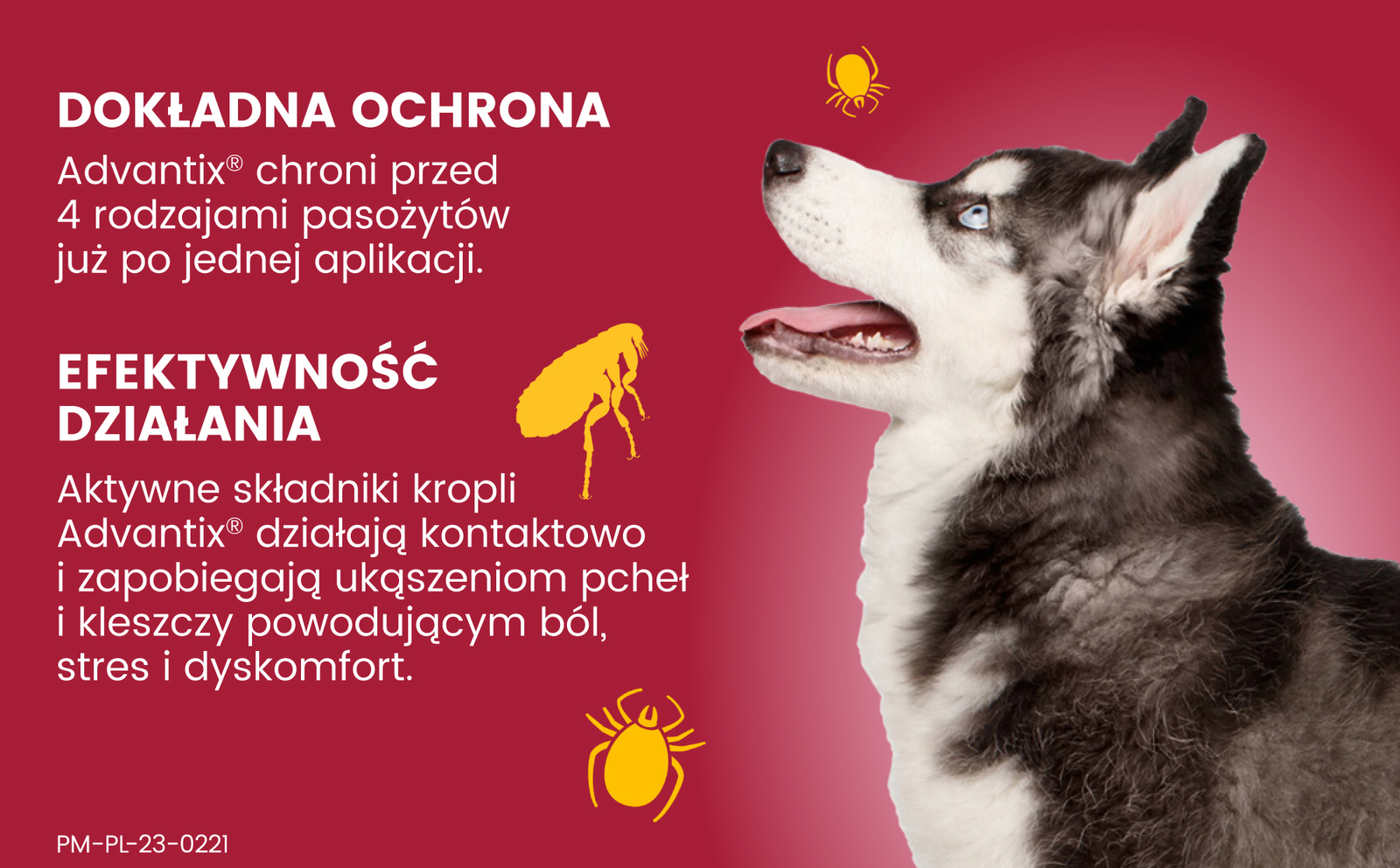 Bayer Advantix Krople Na Kleszcze I Pchły 4x2,5ml