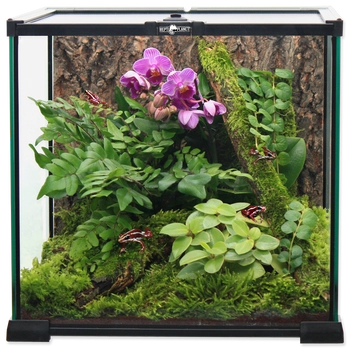 REPTI PLANET Terrarium Szklane 20x20x20cm