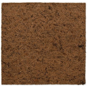 REPTI PLANET Tło Kokosowe Płaskie 30x30cm