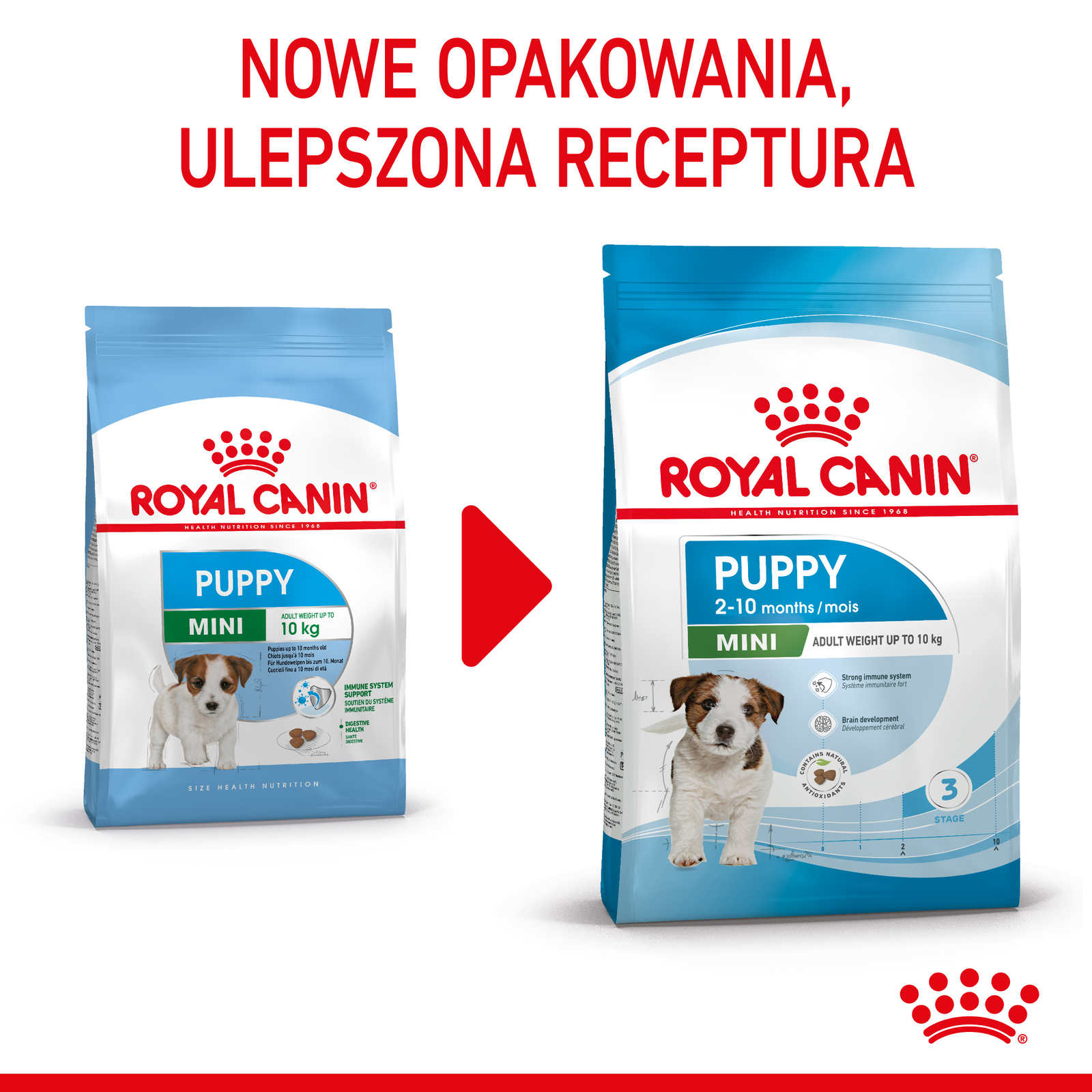 ROYAL CANIN Mini Puppy 2kg