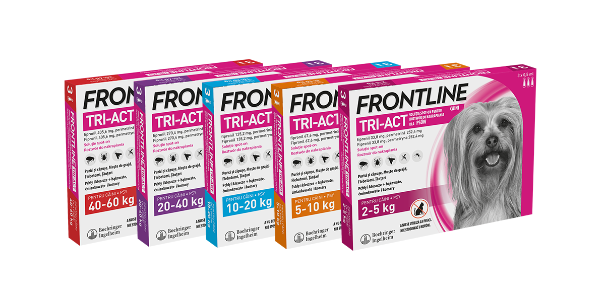 FRONTLINE Tri-Act Dla Psów 3x6ml