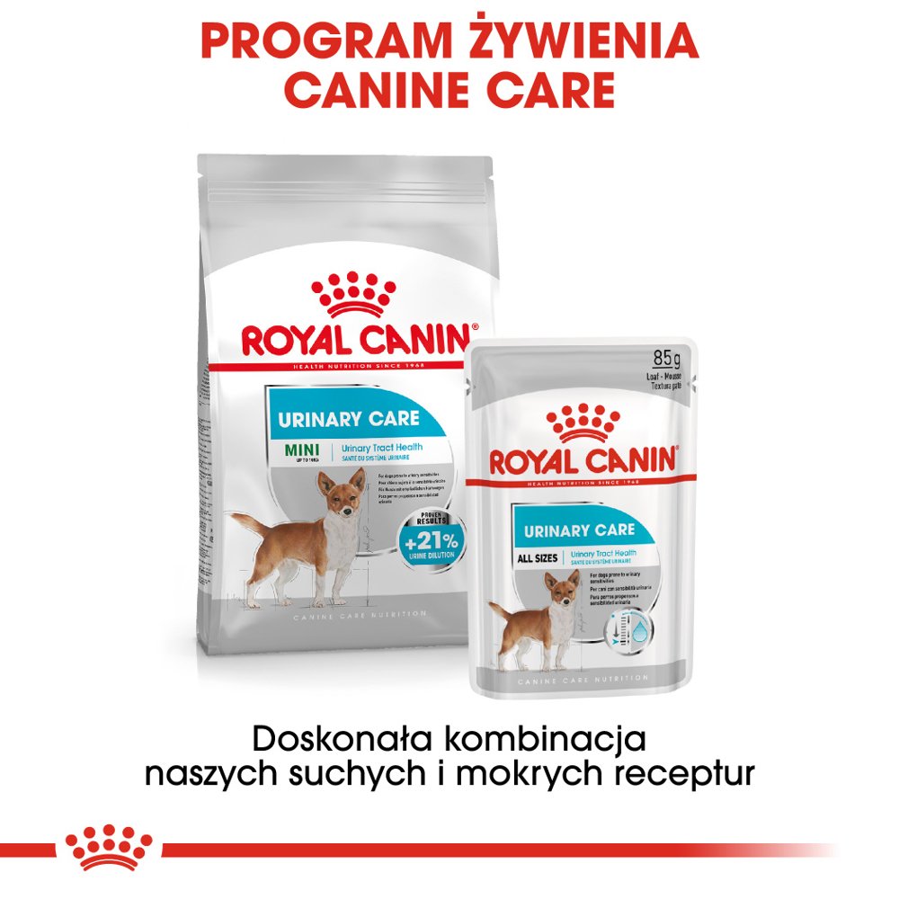 ROYAL CANIN CCN Urinary Care pasztet 12x85g