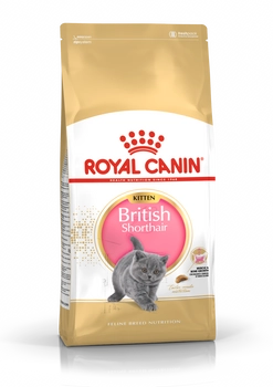 ROYAL CANIN British Shorthair Kitten 10kg