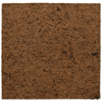 REPTI PLANET Tło Kokosowe Płaskie 30x30cm