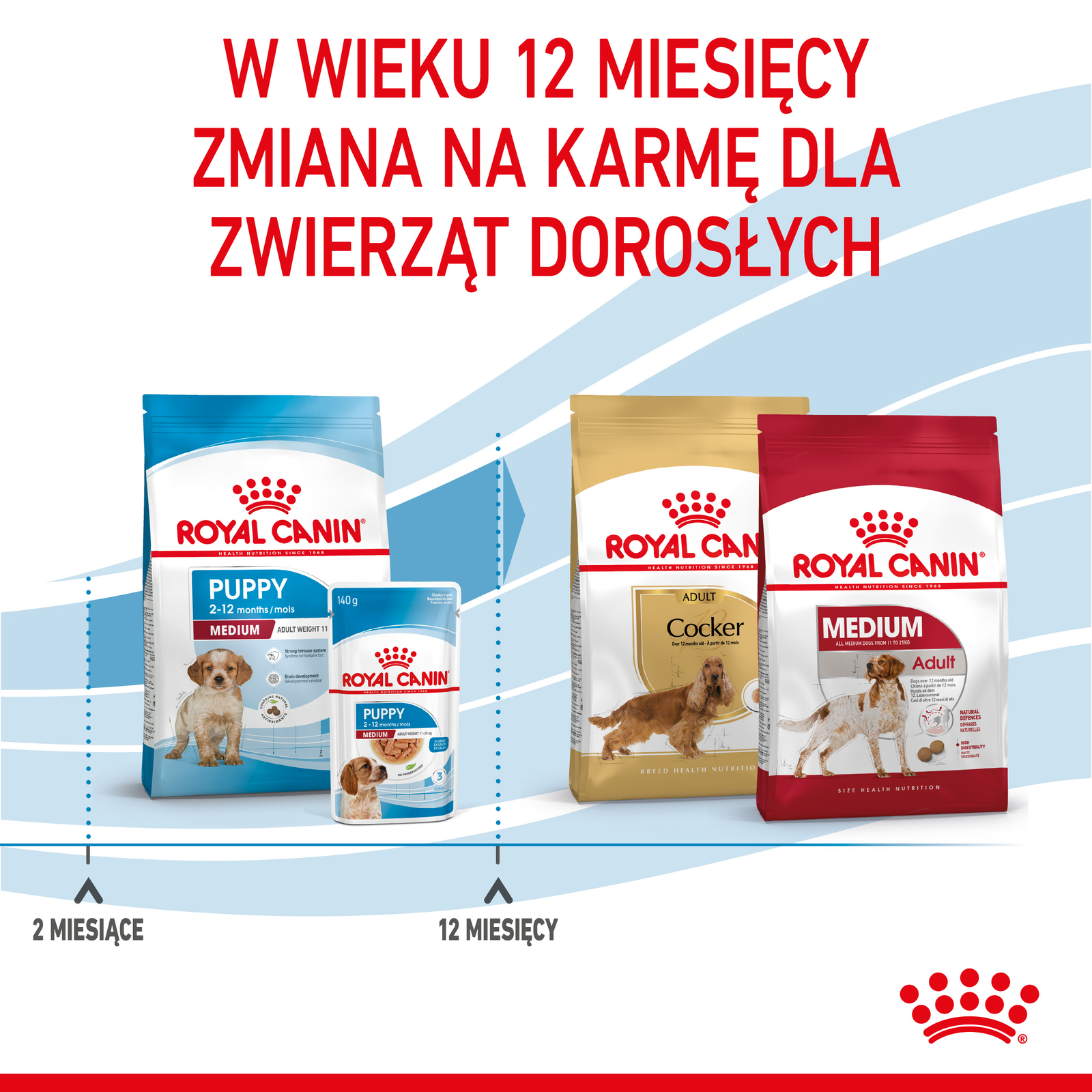 ROYAL CANIN Medium Puppy 15kg