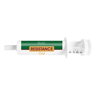 Over Horse Resistance Gel 100ml